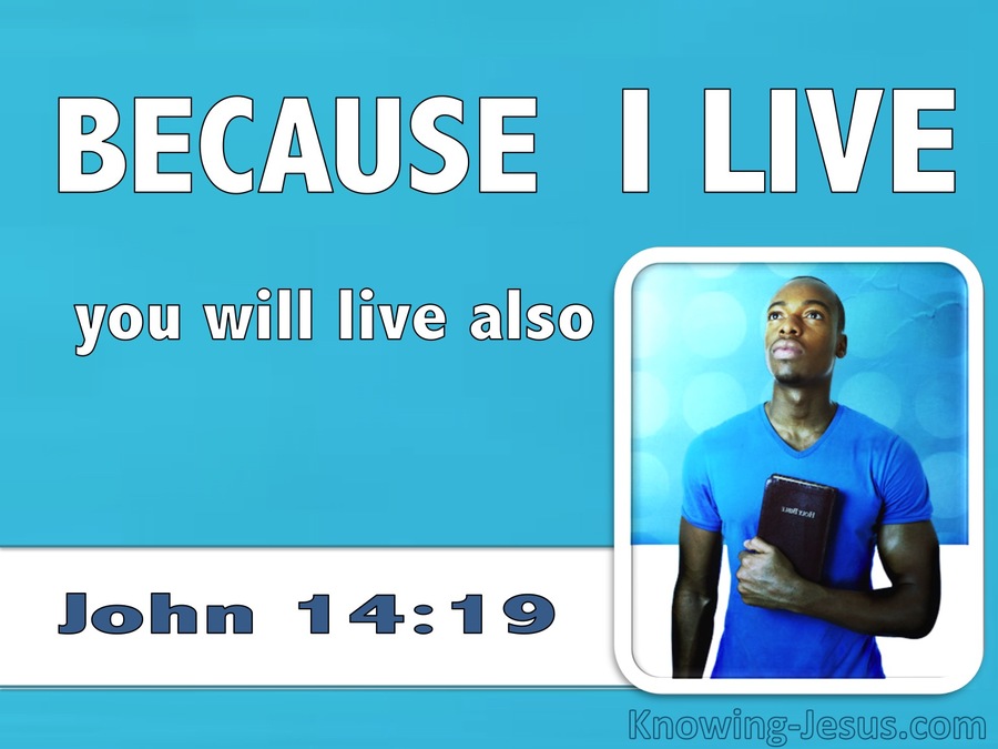 John 14:19 Because I Live You Will Live Also (white)
